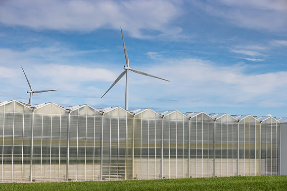 DeRuiter2021_Canada_3244