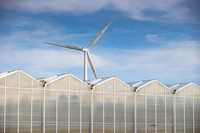DeRuiter2021_Canada_3258