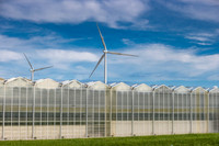 DeRuiter2021_Canada_3246