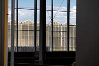 DeRuiter2021_Canada_3227