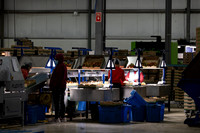 DeRuiter2021_Canada_3311