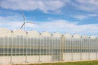 DeRuiter2021_Canada_3267