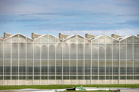 DeRuiter2021_Canada_3241
