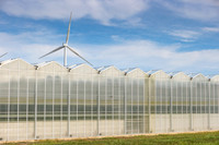 DeRuiter2021_Canada_3261