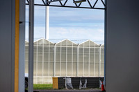 DeRuiter2021_Canada_3276