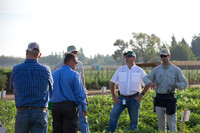 Watermelon_FieldDays_Woodland_CA_0064