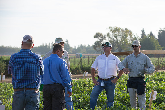 Watermelon_FieldDays_Woodland_CA_0064