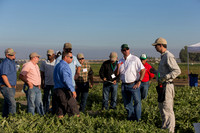Watermelon_FieldDays_Woodland_CA_0040