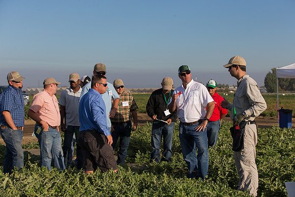 Watermelon_FieldDays_Woodland_CA_0040