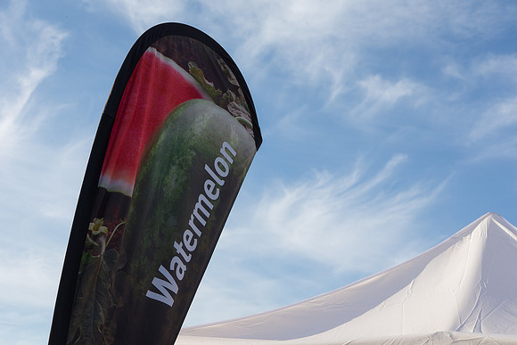 Watermelon_FieldDays_Woodland_CA_0001