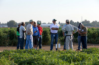 Watermelon_FieldDays_Woodland_CA_0006