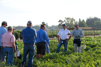 Watermelon_FieldDays_Woodland_CA_0063