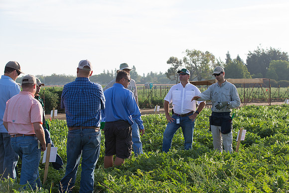 Watermelon_FieldDays_Woodland_CA_0063
