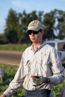 Watermelon_FieldDays_Woodland_CA_0019
