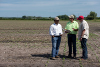 DownyMildew_Trial_MI_0020