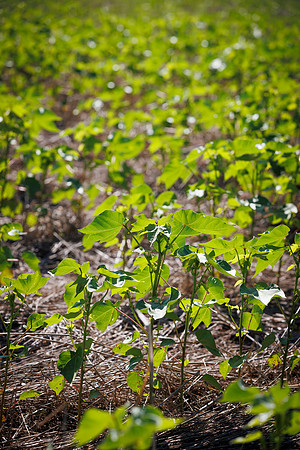 ThryvOn_2022_GriggsFarms_cdp_67