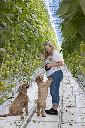 DeRuiter2024_ON_RidgeFarms_209