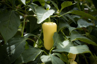 HotPepper_RioDeOro_0024