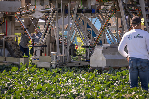 CytheHarvester_SJB_FieldDay2025_47