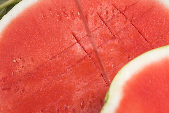 Watermelon_SVWA6179_CA_10