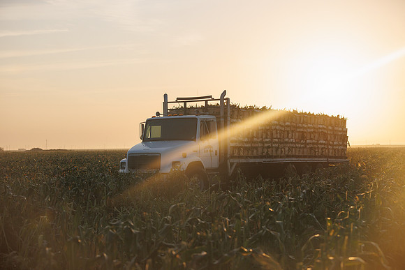 Seminis2022_FL_JEM_42