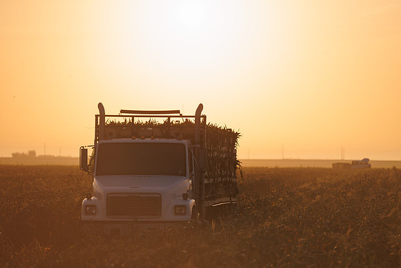 Seminis2022_FL_JEM_12