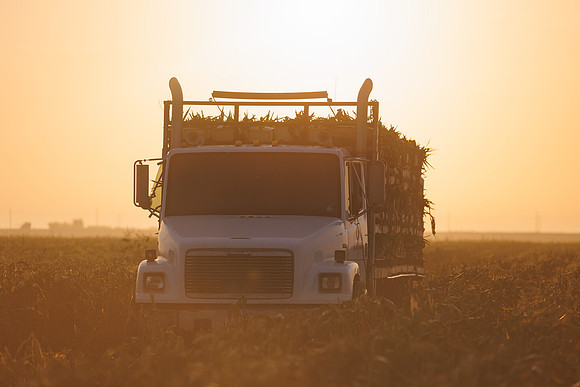 Seminis2022_FL_JEM_39