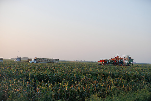 Seminis2022_FL_JEM_2