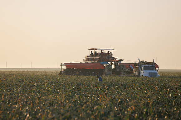 Seminis2022_FL_JEM_56