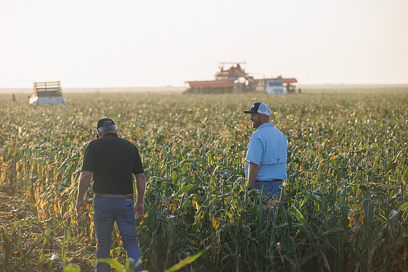 Seminis2022_FL_JEM_60