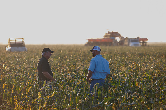 Seminis2022_FL_JEM_78