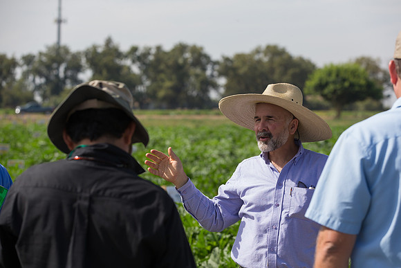 Squash_FieldDays_Woodland_CA_0173