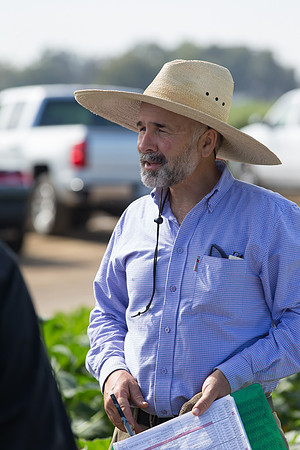 Squash_FieldDays_Woodland_CA_0160