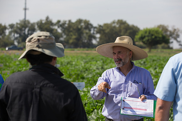 Squash_FieldDays_Woodland_CA_0175