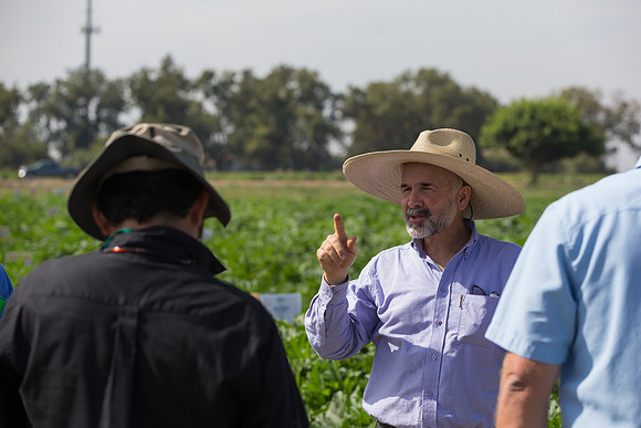 Squash_FieldDays_Woodland_CA_0174