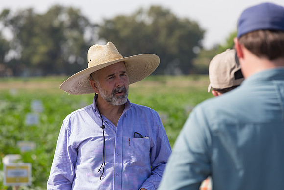 Squash_FieldDays_Woodland_CA_0137