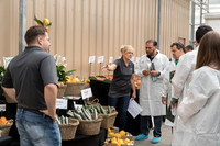 DeRuiter_Leamington_0079