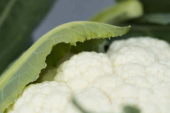 Cauliflower_Kurdivex_CA_0021