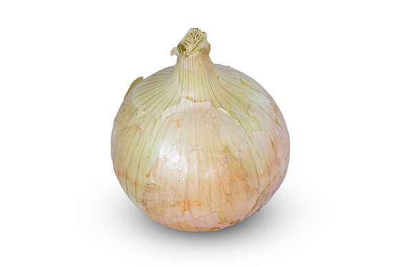 Onion_SVNN1127_35