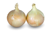 Onion_SVNN1147_54