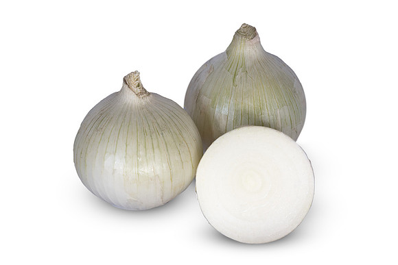 Onion_RocaBlanca_8