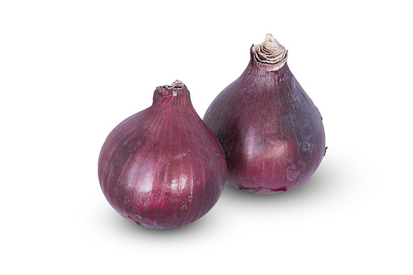 Onion_RedHalen_9