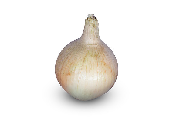 Onion_Hornet_13