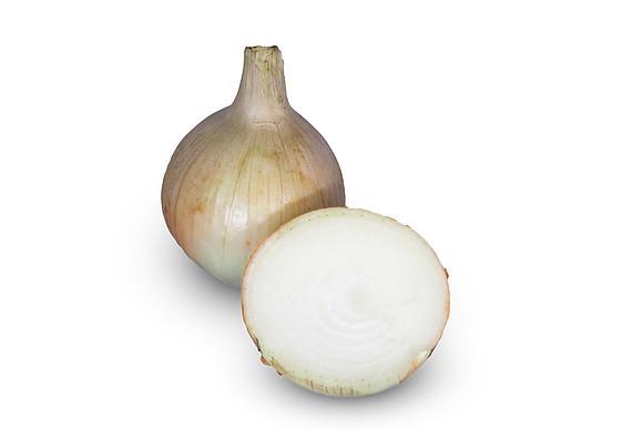 Onion_Hornet_17