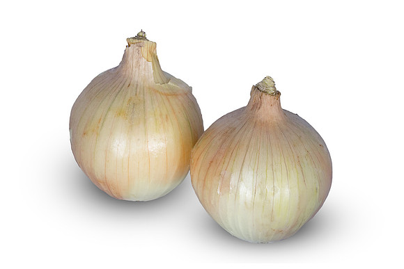Onion_Duster_16