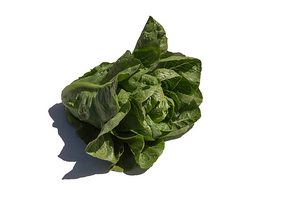 Lettuce_ValleyHeart_CA_0041