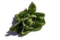 Lettuce_ValleyHeart_CA_0039