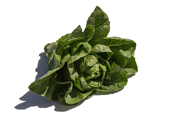 Lettuce_ValleyHeart_CA_0039