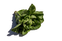 Lettuce_ValleyHeart_CA_0037