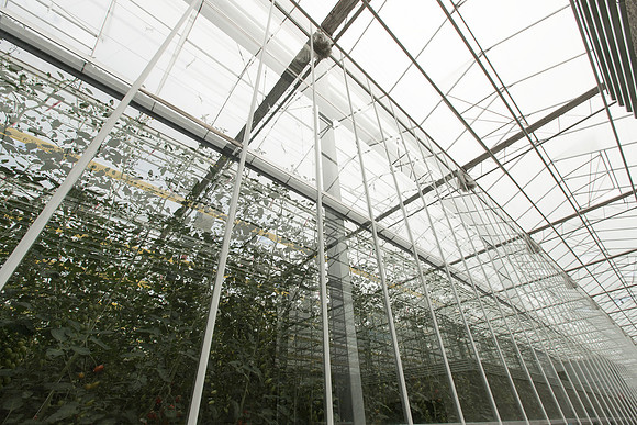 DeRuiter_Leamington_Customer_0573